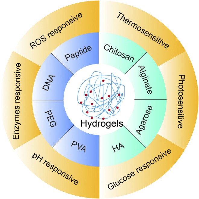Fig. 1 Schematic diagrams showing the rational design of smart hydrogels.