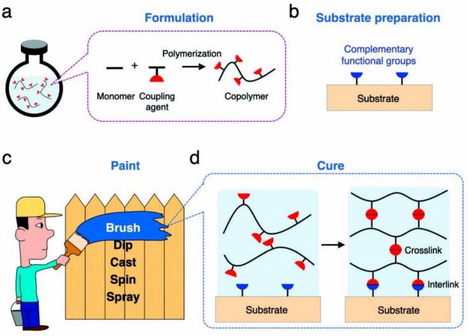 Principle of hydrogel coating