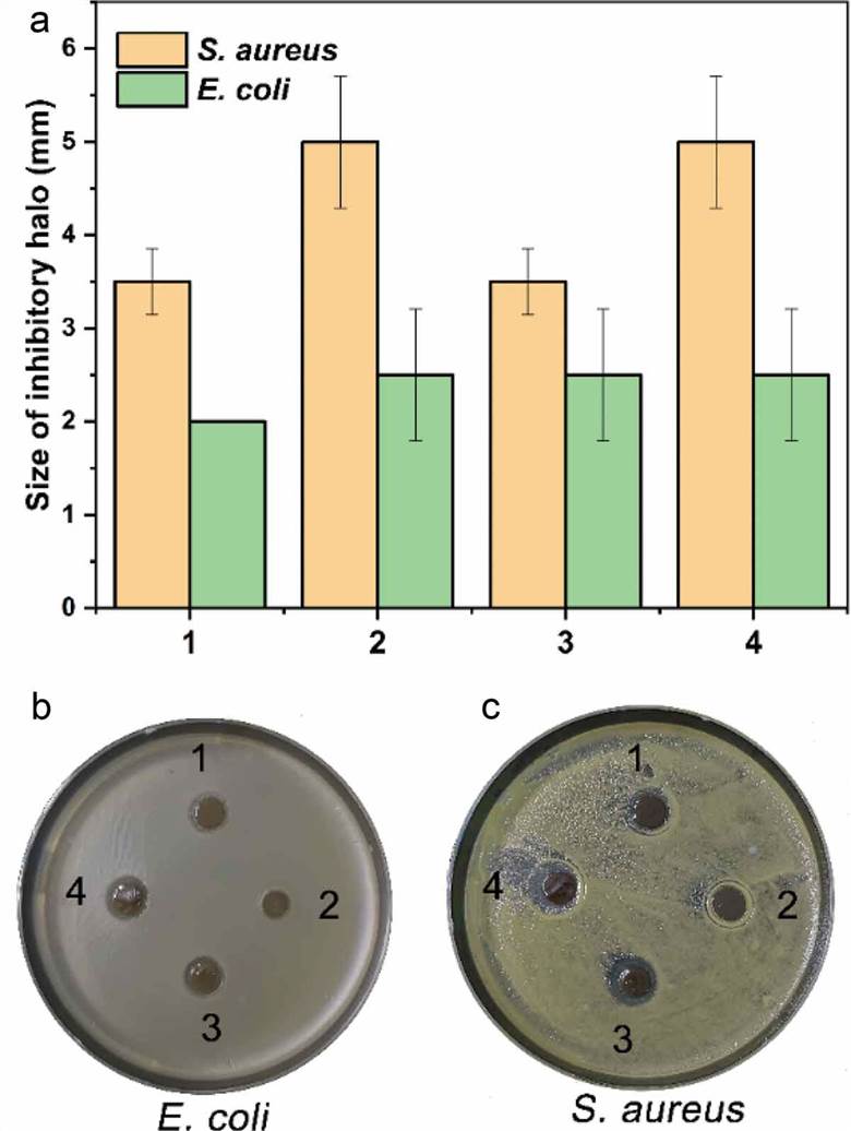 The antimicrobial activity of the hydrogels.